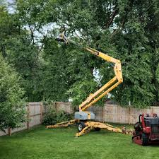 Wilmington Island, GA  Tree Services Company